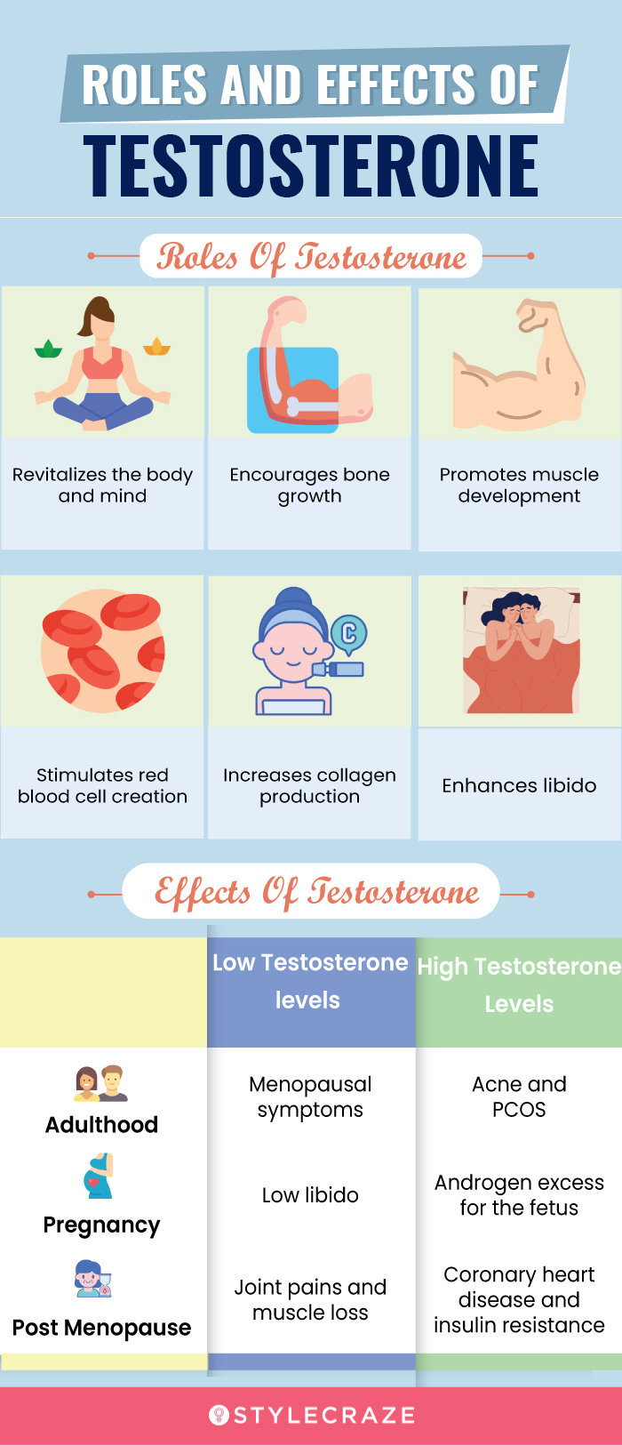 roles and effects of testosterone (infographic)