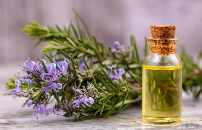 Rosemary oil may treat dandruff