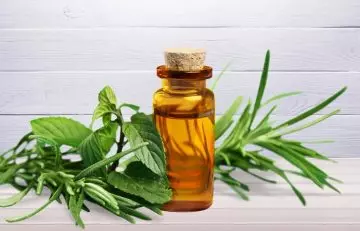 Tea tree oil may reduce dandruff
