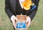 Everything You Need To Know About The Ring Bearer At A Wedding
