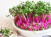 6 Top Health Benefits Of Microgreens + Nutrition Facts
