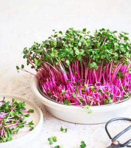 Microgreens Nutrition, Benefits, Risks, And More