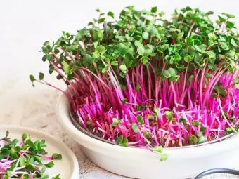 6 Top Health Benefits Of Microgreens + Nutrition Facts