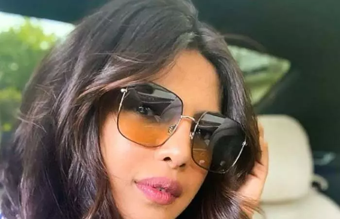 Tinted-Statement-Shades