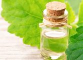 What Is Patchouli Essential Oil? Benefits, Uses, And Side Effects