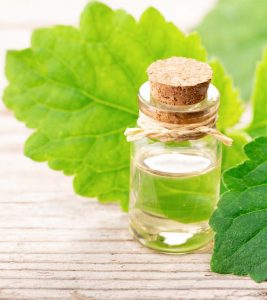 What Is Patchouli Essential Oil? Bene...