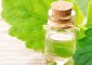 What Is Patchouli Essential Oil? Bene...