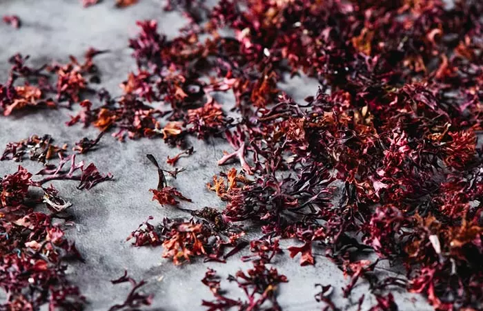 Dried Irish sea moss for hair