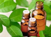 Neroli Essential Oil: 7 Health Benefits, How To Use, And Side Effects