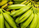 7 Health Benefits Of Plantains, Nutrition Facts, And Disadvantages