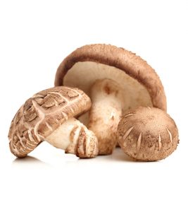 Shiitake Mushrooms Nutritional Information, Benefits, And Side Effects