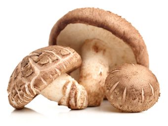 Shiitake Mushrooms Nutritional Information, Benefits, And Side Effects