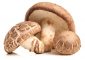 Shiitake Mushrooms: Nutritional Value, Benefits, And Side Effects