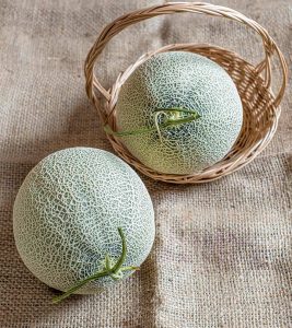 7 Health Benefits Of Honeydew Melon + Nutrition Facts