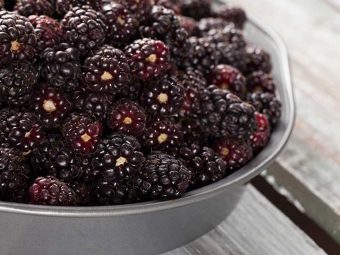 Boysenberry All That You Need To Know