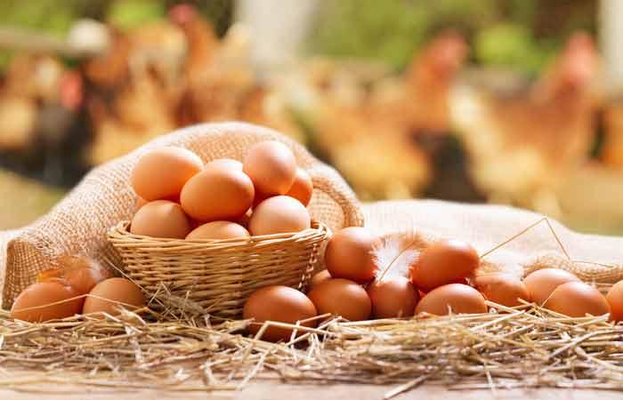 Eggs