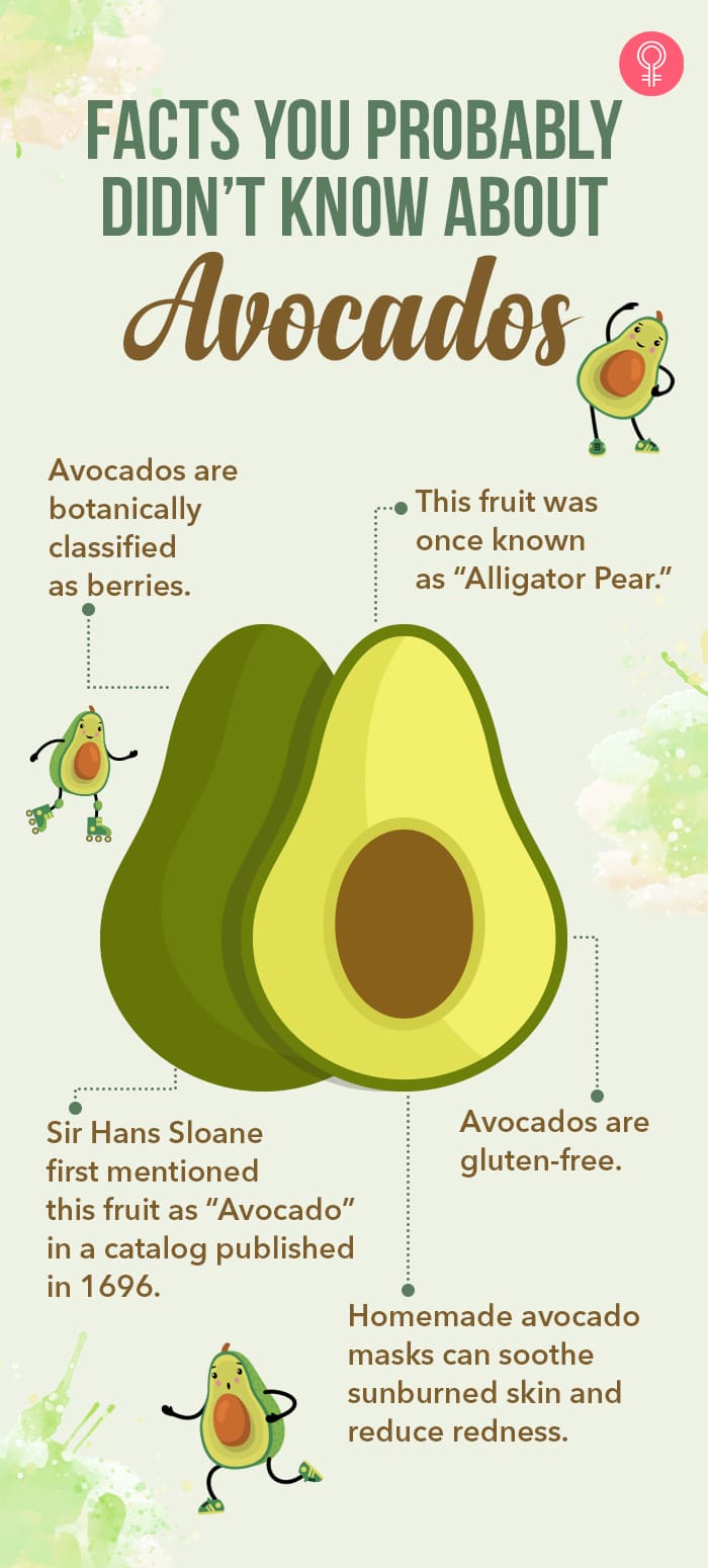interesting facts about avocado [infographic]