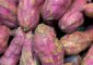 What Is Purple Yam? Nutrition, Benefi...