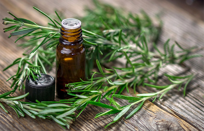Rosemary herb and oil as natural muscle relaxers