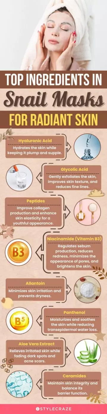 Top Ingredients In Snail Masks For Radiant Skin (infographic)