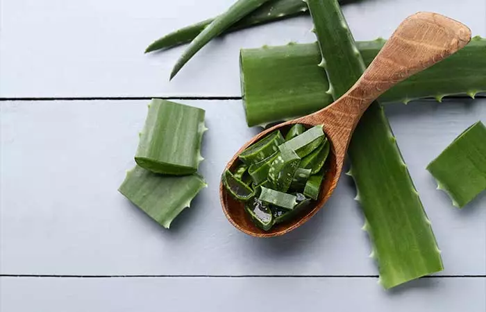 Aloe Vera