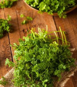 What Is Chervil? Health Benefits, Sid...
