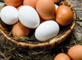 White Egg Vs. Brown Egg: Are They Any Different?