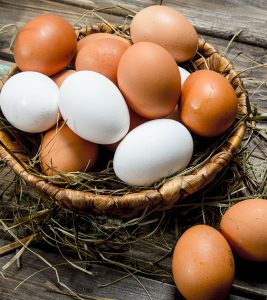White Egg Vs. Brown Egg: Are They Any Dif...