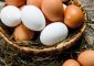 White Egg Vs. Brown Egg: Are They Any Dif...