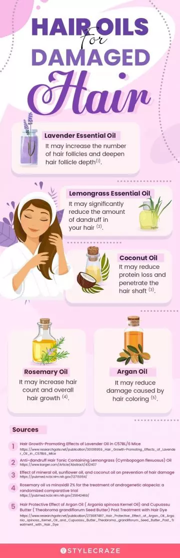 hair oils for damaged hair (infographic)