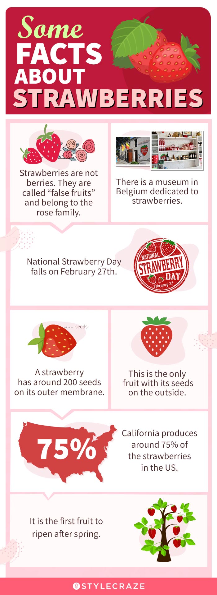 some facts about strawberries [infographic]