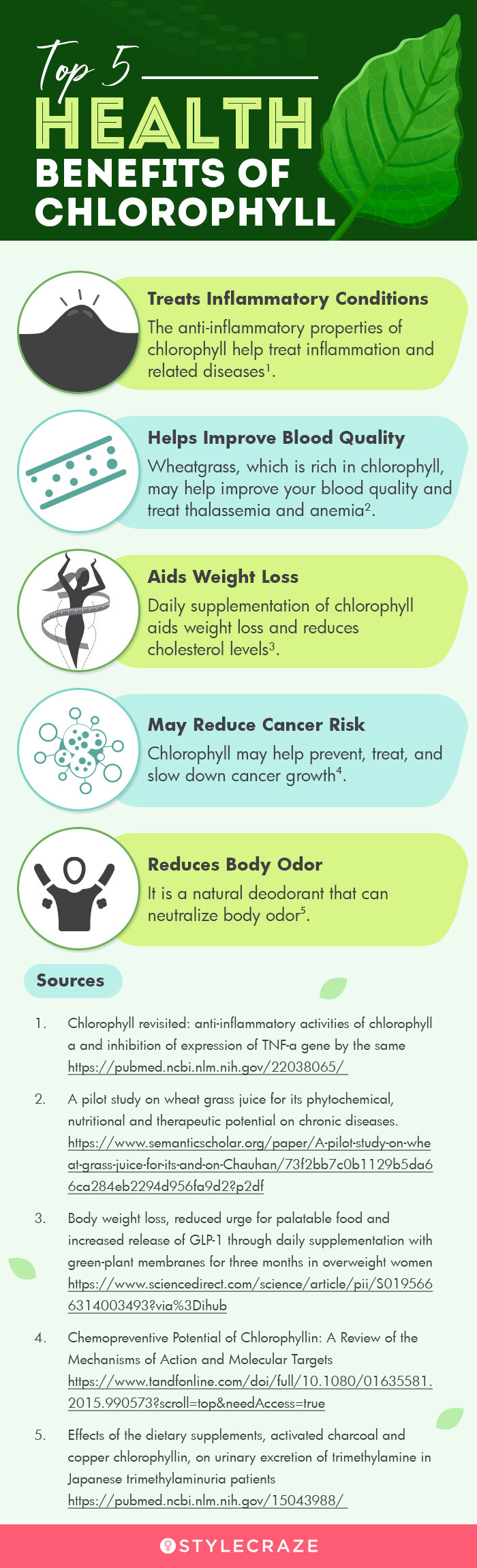 top 5 health benefits of chlorophyll [infographic]