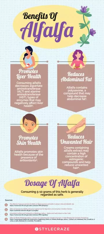 health benefits of alfalfa (infographic)