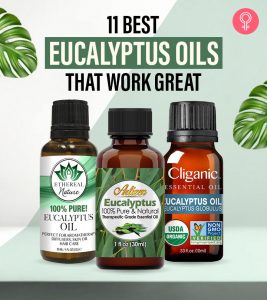11 Best Eucalyptus Oils Of 2022, According To Reviews