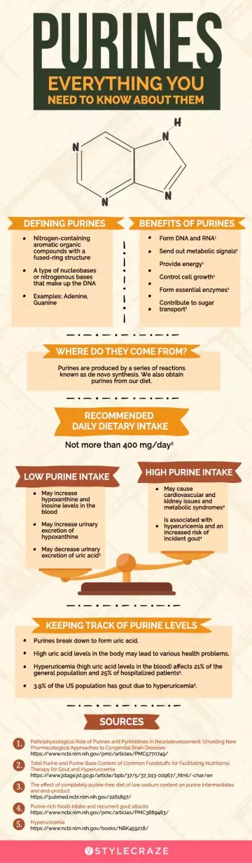 what are purines (infographic)