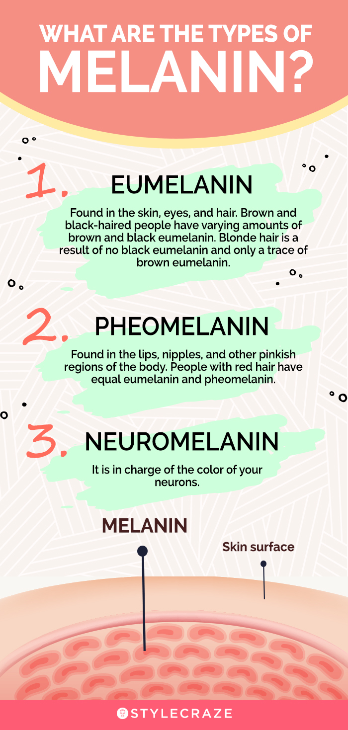 what are the types of melanin (infographic)