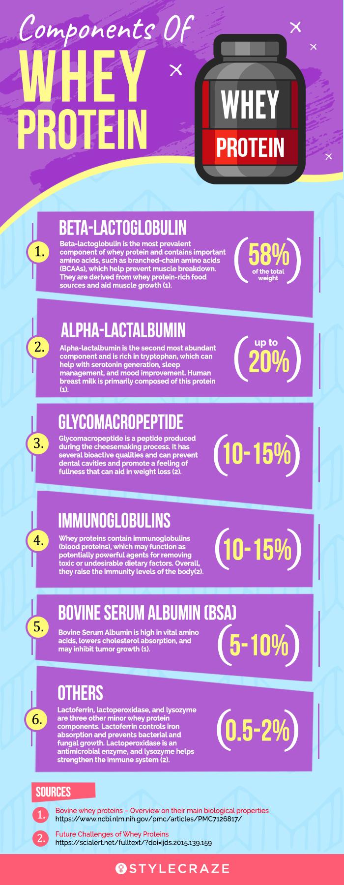 components of whey protein (infographic)