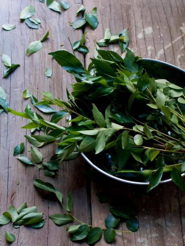 Ways To Use Curry Leaves for Lustrous Hair