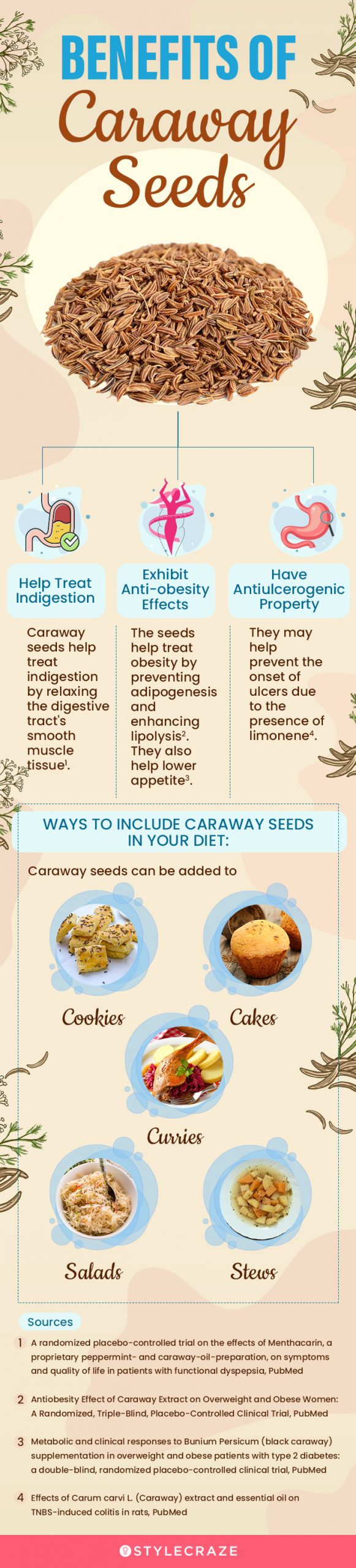 benefits of caraway seeds (infographic)