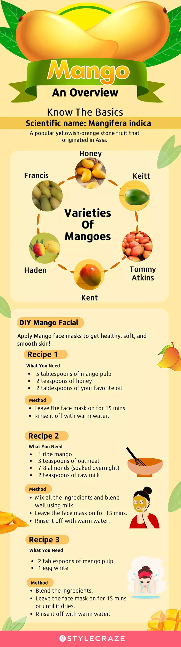 mango an overview (infographic)