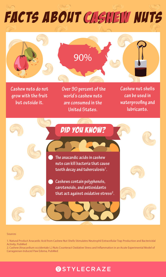 facts about cashew nuts [infographic]