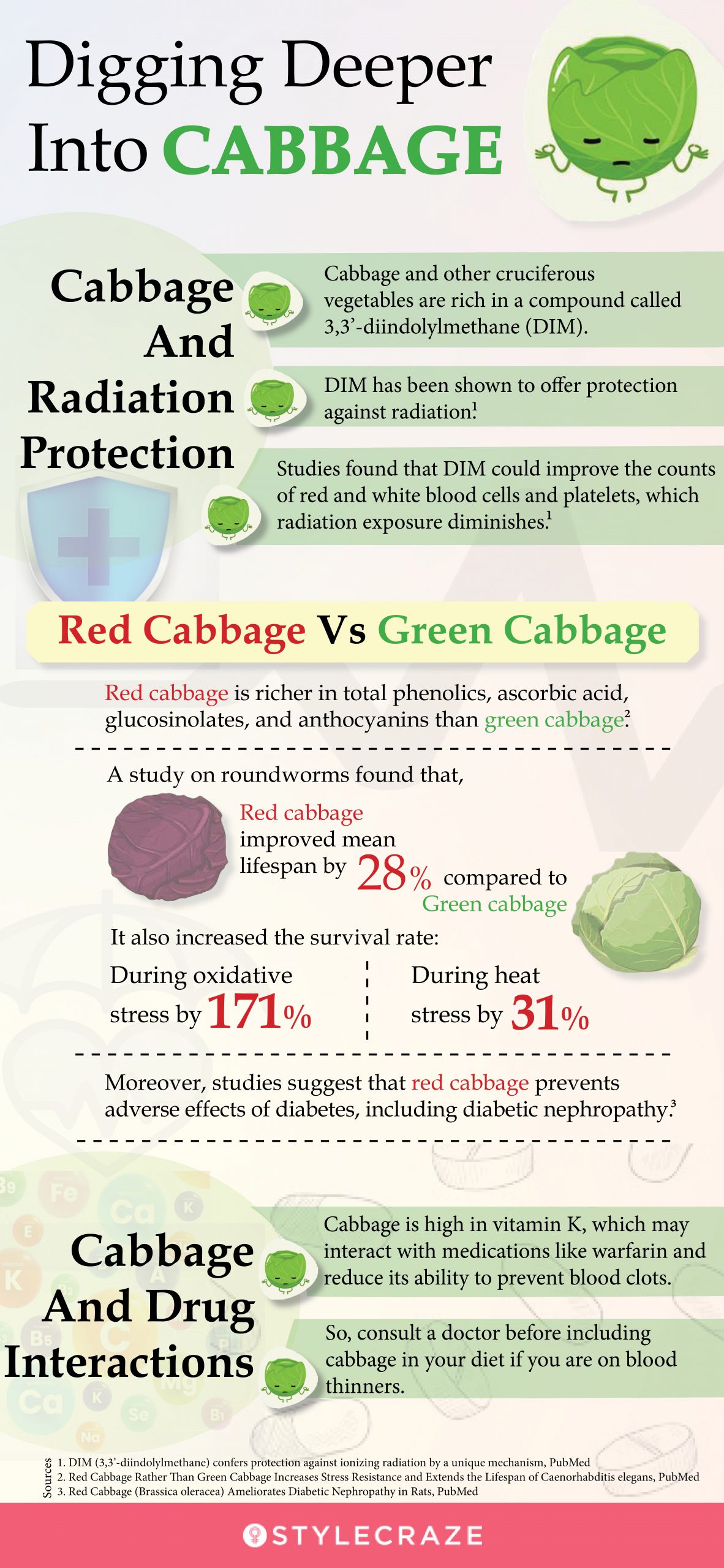 deep digging into cabbage (infographic)