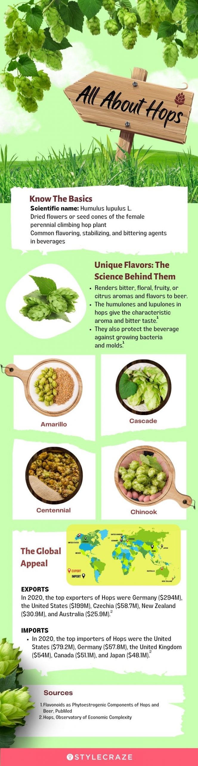 all about hops (infographic)