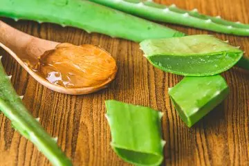 Aloe vera as a home remedy to get rid of whiteheads.