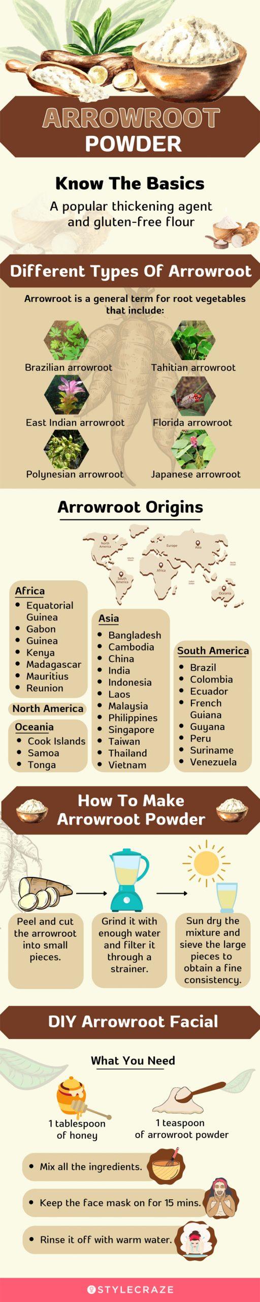 arrowroot powder (infographic)