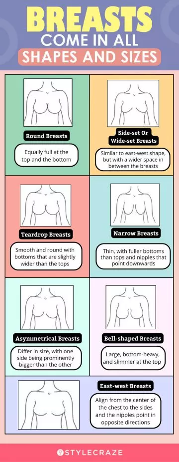 breasts come in all shapes and sizes (infographic)