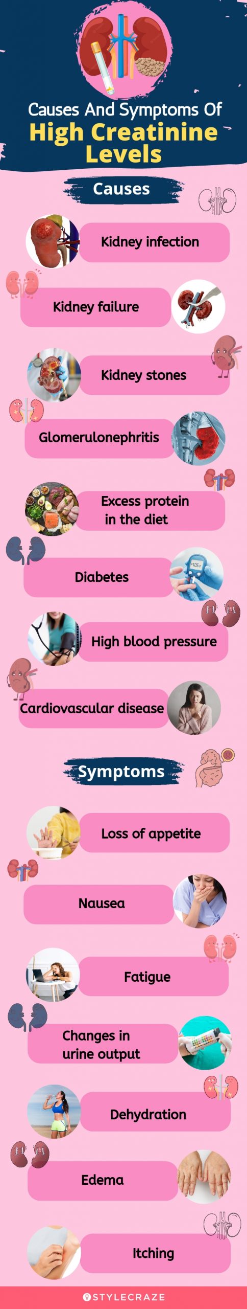 causes and symptoms of high creatinine levels (infographic)