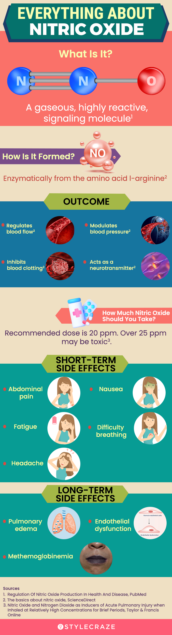 everything about nitric oxide (infographic)