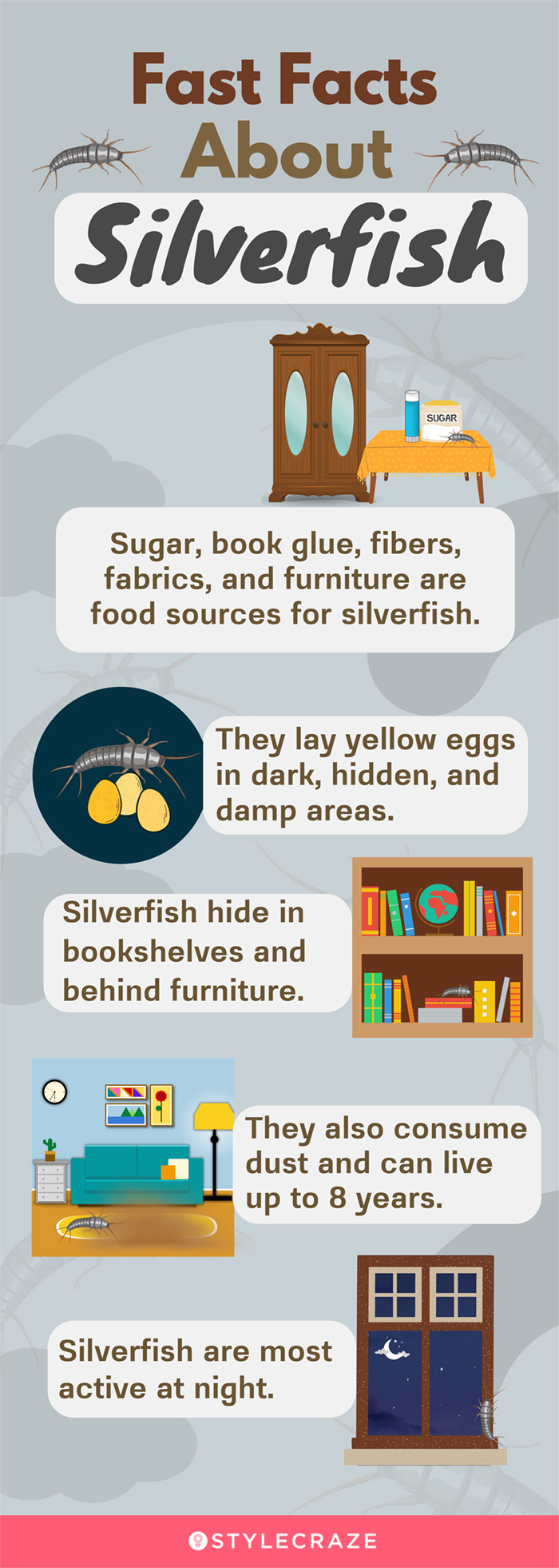 fast facts about silver fish (infographic)