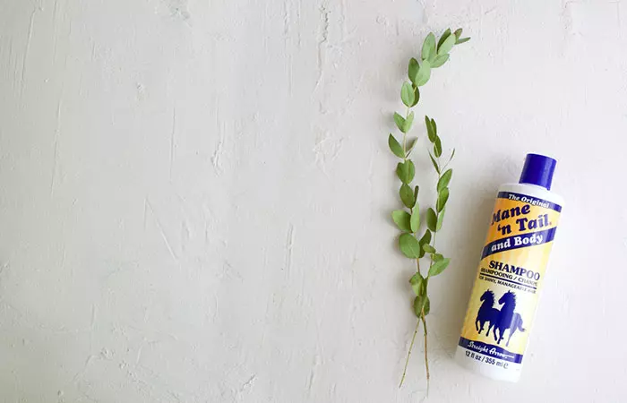 Horse shampoo bottle kept on table